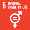 Toplumsal Cinsiyet Eşitliği